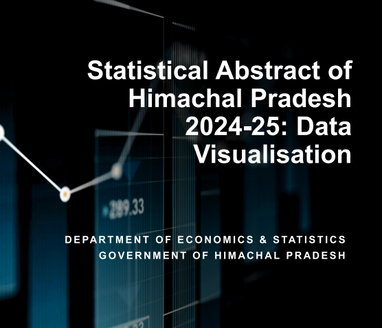 Data Visualization Insights 2024-2025